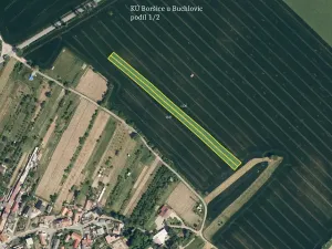 Prodej pole, Boršice, 2636 m2