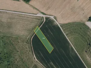 Prodej sadu/vinice, Kobylí, 23542 m2