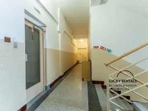Pronájem bytu 3+kk, Praha - Staré Město, Havelská, 84 m2