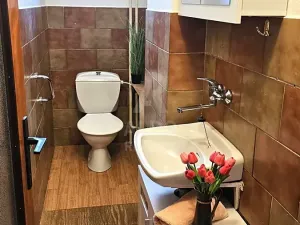 Prodej rodinného domu, Ločenice, 130 m2