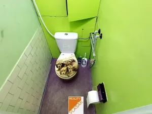 Pronájem bytu 2+1, Kadaň, Chomutovská, 56 m2