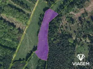 Prodej podílu pole, Morašice, 4315 m2