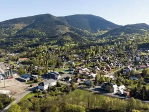 Prodej komerčního pozemku, Ostravice, 60074 m2