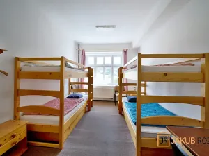Prodej komerčního pozemku, Heřmánkovice, 40632 m2