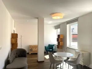 Pronájem bytu 2+kk, Brno, 55 m2