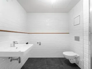 Prodej bytu 1+kk, Praha - Vysočany, Kolbenova, 42 m2