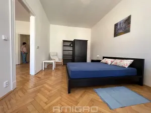 Pronájem bytu 2+1, Brno, Gorkého, 68 m2