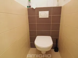 Pronájem bytu 2+1, Brno, Gorkého, 68 m2