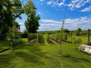 Prodej zahrady, Břeclav, 1560 m2