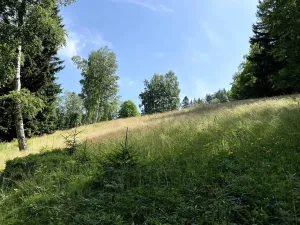 Prodej louky, Jablonec nad Jizerou, 15826 m2