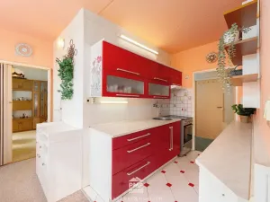 Pronájem bytu 3+1, Velké Opatovice, Hliníky, 71 m2