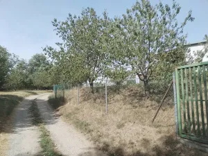 Prodej zahrady, Blížkovice, 767 m2