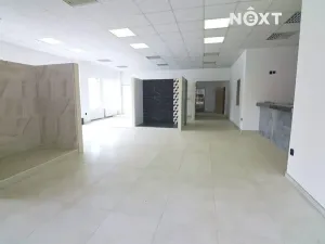 Prodej skladu, Soběslav, Wilsonova, 490 m2