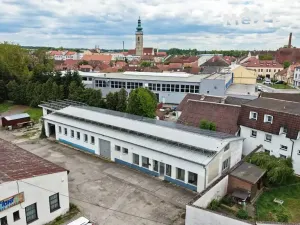 Prodej výrobních prostor, Soběslav, Wilsonova, 490 m2