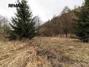 Prodej pozemku pro bydlení, Červená Voda, 949 m2
