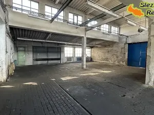 Pronájem výrobních prostor, Vratimov, Tovární, 1181 m2