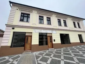 Pronájem komerční nemovitosti, Brandýs nad Labem-Stará Boleslav, Pražská, 15 m2