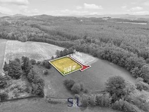 Prodej pozemku pro bydlení, Svojkov, 3160 m2