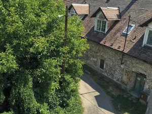 Prodej podílu vícegeneračního domu, Olšany, 831 m2