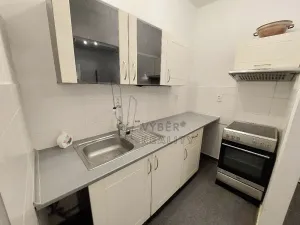 Prodej bytu 2+kk, Praha - Žižkov, Jana Želivského, 55 m2