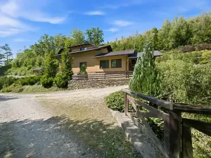 Prodej komerční nemovitosti, Oskava, 247 m2