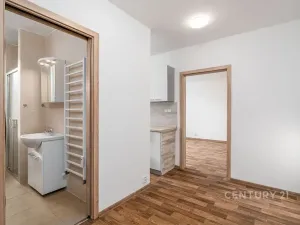 Pronájem bytu 1+1, Děčín, Růžová, 35 m2