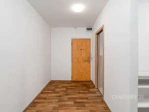 Pronájem bytu 1+1, Děčín, Růžová, 35 m2