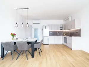 Pronájem bytu 2+kk, Pasohlávky, 53 m2