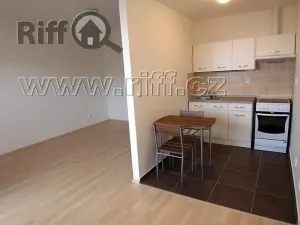 Pronájem bytu 1+kk, Brno, U Leskavy, 37 m2