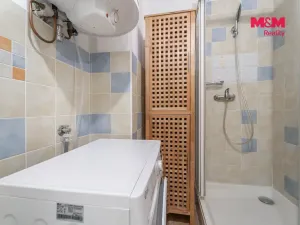 Pronájem bytu 1+1, Praha - Nusle, Krokova, 40 m2
