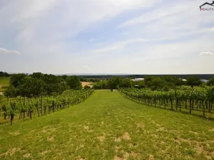 Prodej sadu/vinice, Bzenec, 2460 m2