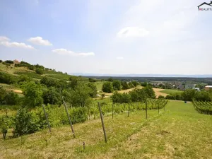 Prodej sadu/vinice, Bzenec, 2460 m2