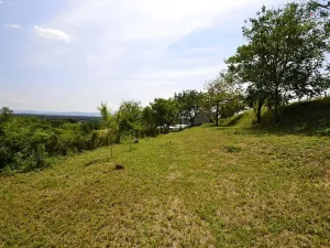 Prodej sadu/vinice, Bzenec, 2460 m2
