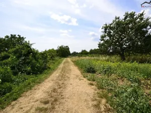 Prodej sadu/vinice, Bzenec, 2460 m2