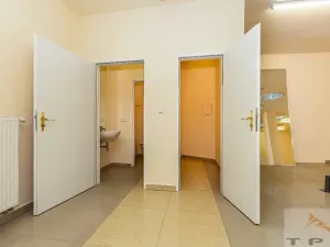 Prodej obchodního prostoru, Karlovy Vary, Divadelní náměstí, 100 m2