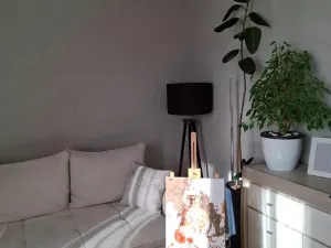 Prodej bytu 2+1, Karlovy Vary, Západní, 59 m2