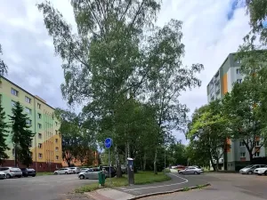 Prodej bytu 2+1, Karlovy Vary, Západní, 59 m2