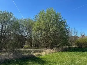 Prodej pozemku pro bydlení, Úhonice, Dušnická, 1669 m2