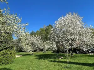 Prodej rodinného domu, Benešov nad Černou, 120 m2