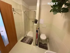 Pronájem bytu 1+1, Mostek, 36 m2