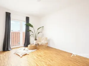 Prodej bytu 4+kk, Brno, Čápkova, 141 m2