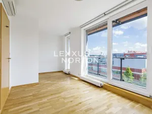 Pronájem bytu 4+kk, Praha - Vinohrady, Italská, 115 m2