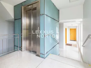 Pronájem bytu 4+kk, Praha - Vinohrady, Italská, 115 m2