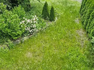 Pronájem obchodního prostoru, Bruntál, Nerudova, 60 m2