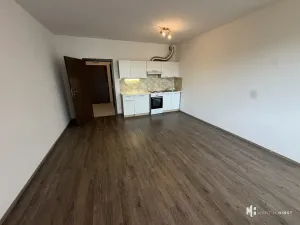 Pronájem bytu 1+kk, Praha - Střížkov, Makedonská, 33 m2