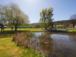 Prodej rodinného domu, Dešenice, 178 m2