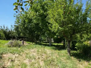 Prodej pozemku, Starý Plzenec, 809 m2