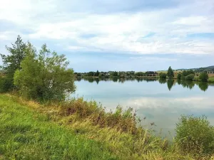 Prodej pozemku pro bydlení, Ronov nad Doubravou, Lichnická, 750 m2