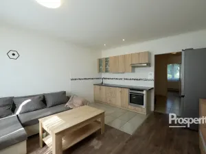 Prodej bytu 1+1, Cvikov - Cvikov II, Sídliště, 41 m2