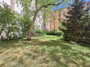 Pronájem pokoje, Praha - Vinohrady, Písecká, 20 m2